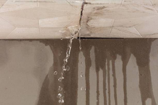 Professional Burst Pipe Cleanup technician working in Cutler, ME
